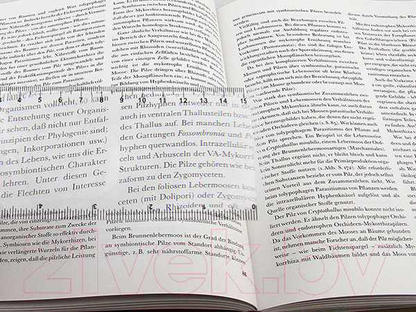 Изображение товара Лупа Френеля Veber 190x65 / 22703