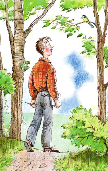 Изображение товара Книга АСТ Лучшие стихи. Библиотека начальной школы (Михалков С.)