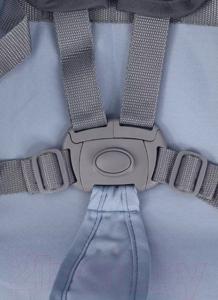 Изображение товара Детская прогулочная коляска Rant Basic Tango / RA351 (Pacific Blue)