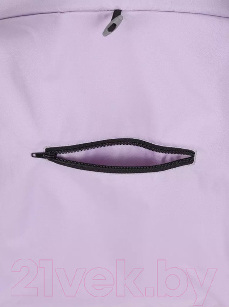 Изображение товара Детская прогулочная коляска Rant Basic Tango / RA351 (Sweet Lavender)