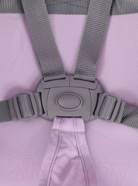 Изображение товара Детская прогулочная коляска Rant Basic Tango / RA351 (Sweet Lavender)