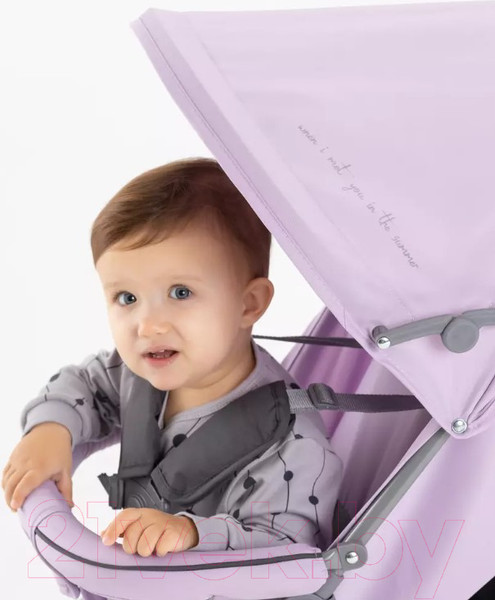 Изображение товара Детская прогулочная коляска Rant Basic Tango / RA351 (Sweet Lavender)