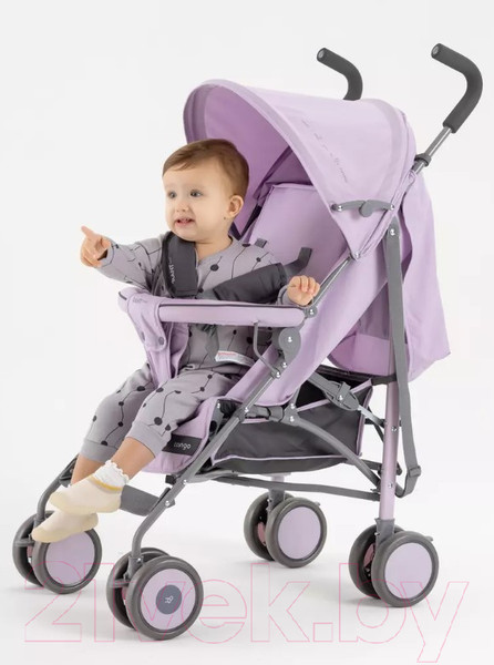Изображение товара Детская прогулочная коляска Rant Basic Tango / RA351 (Sweet Lavender)