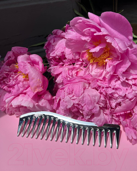Изображение товара Расческа Janeke Haircomb CR805 (серебристый)