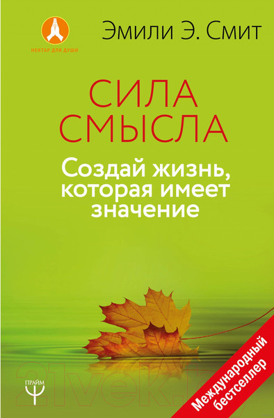 Изображение товара Книга АСТ Сила смысла. Создай жизнь, которая имеет значение (Смит Э.)