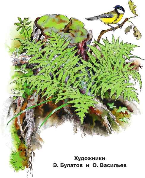 Изображение товара Книга АСТ Синичкин календарь. Читаем сами без мамы, мягкая обложка (Бианки Виталий)