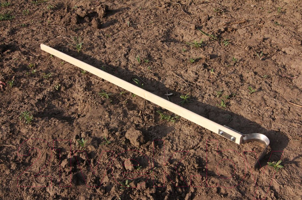 Изображение товара Полольник Судогодское РТП Пышка малый