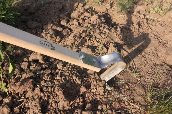 Изображение товара Полольник Судогодское РТП Пышка малый