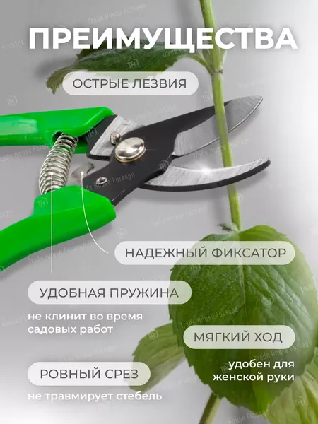 Изображение товара Секатор механический WMC Tools TG1306011-A