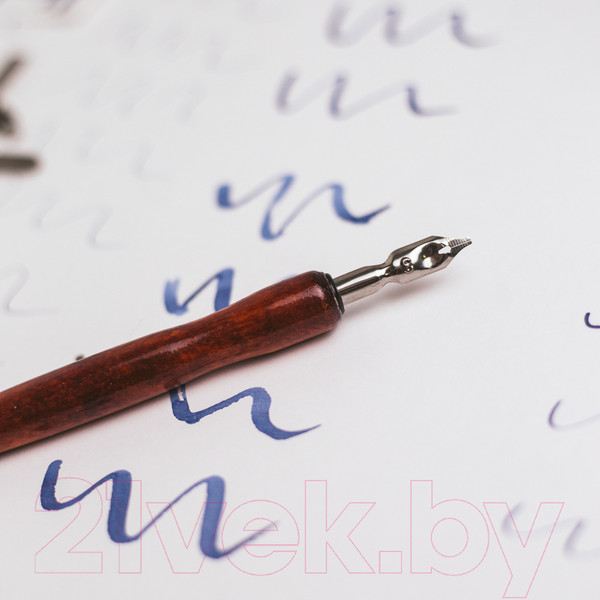 Изображение товара Набор перьев для каллиграфии Малевичъ 195110 (9шт)