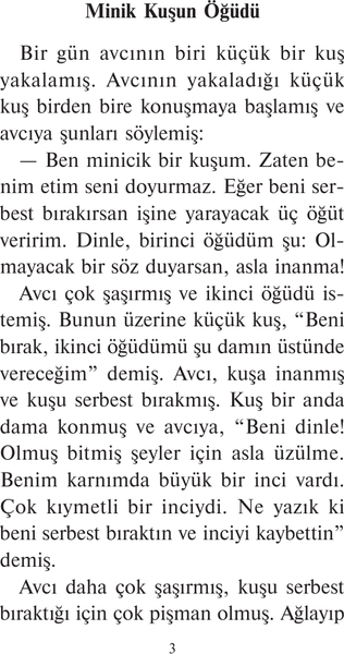 Изображение товара Книга АСТ Самые лучшие турецкие сказки. Легко читаем по-турецки