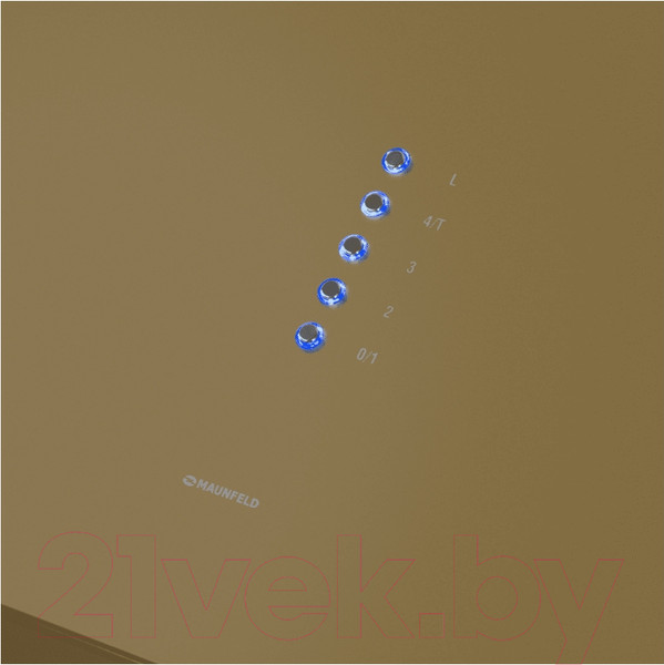 Изображение товара Вытяжка коробчатая Maunfeld Bath 402 (золото)