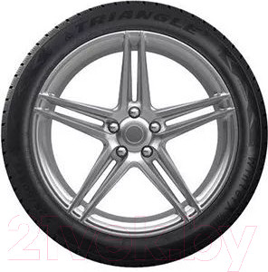 Изображение товара Зимняя шина Triangle TW401 215/55R18 99V