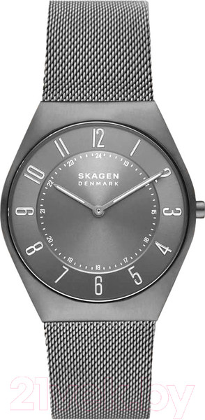 Изображение товара Часы наручные мужские Skagen SKW6824