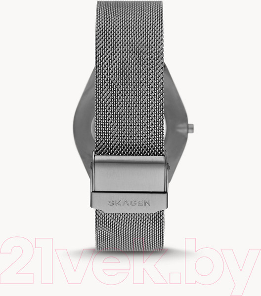 Изображение товара Часы наручные мужские Skagen SKW6824