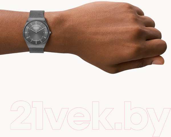 Изображение товара Часы наручные мужские Skagen SKW6824