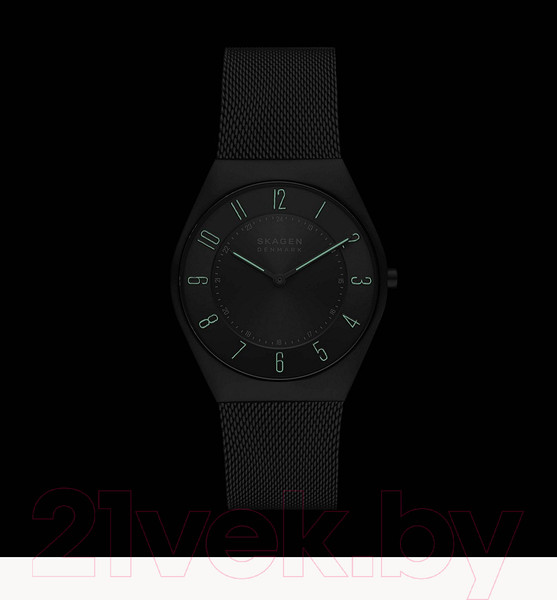 Изображение товара Часы наручные мужские Skagen SKW6824