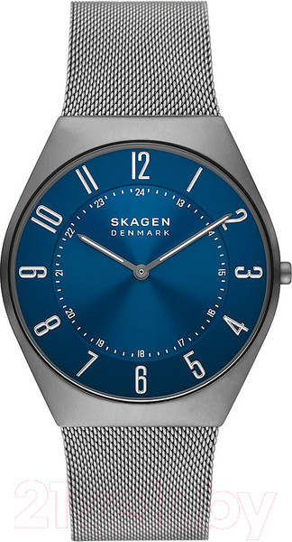Изображение товара Часы наручные мужские Skagen SKW6829