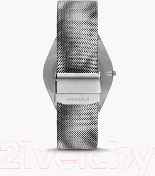 Изображение товара Часы наручные мужские Skagen SKW6829