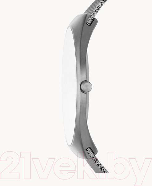 Изображение товара Часы наручные мужские Skagen SKW6829