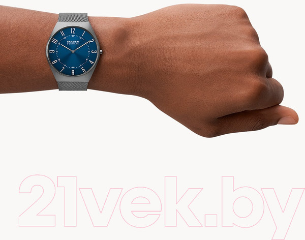 Изображение товара Часы наручные мужские Skagen SKW6829