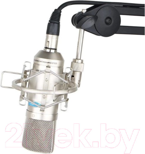 Изображение товара Микрофон Alctron MC001