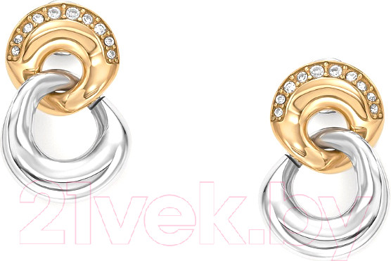 Изображение товара Серьги Skagen SKJ1609998