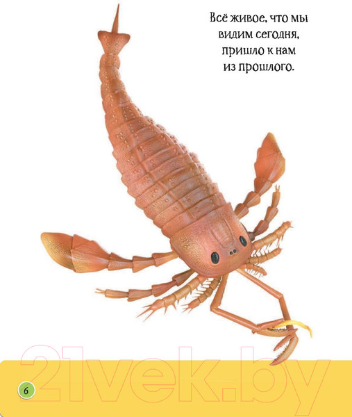 Изображение товара Энциклопедия АСТ Динозавров и самых необычных доисторических животных (Рейк М.)