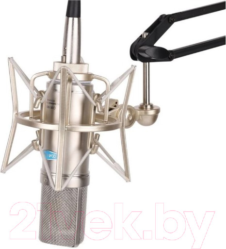 Изображение товара Микрофон Alctron CM6-MKII
