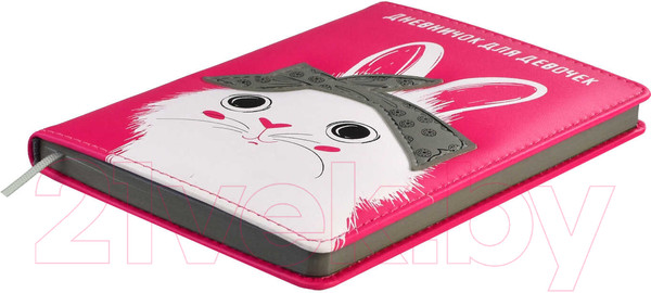 Изображение товара Дневничок Феникс+ Хип Хоп команда / 61728