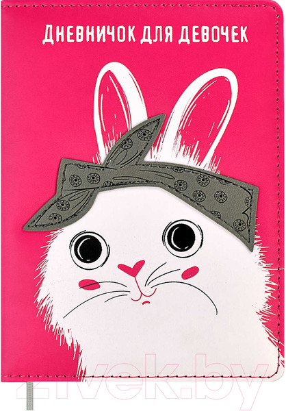 Изображение товара Дневничок Феникс+ Хип Хоп команда / 61728