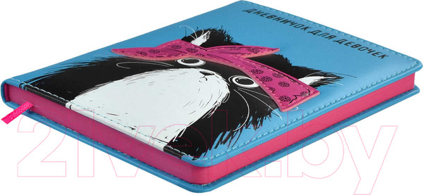 Изображение товара Дневничок Феникс+ Хип Хоп команда / 61729