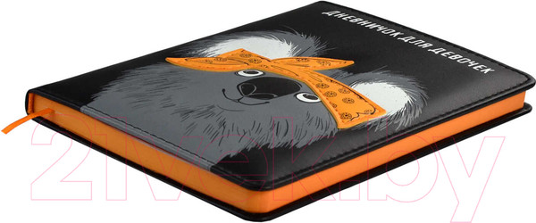 Изображение товара Дневничок Феникс+ Хип Хоп команда / 61730