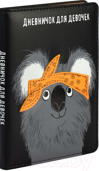 Изображение товара Дневничок Феникс+ Хип Хоп команда / 61730