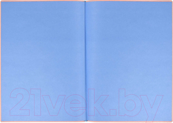 Изображение товара Ежедневник Escalada Виннер / 52440 (розовый)