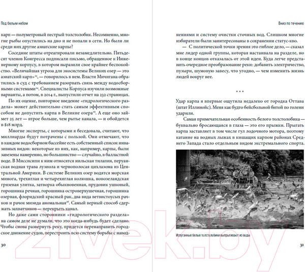 Изображение товара Книга Альпина Под белым небом. Как человек меняет природу (Колберт Э.)