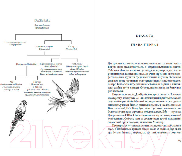 Изображение товара Книга Альпина Воспитание дикости. Как животные создают свою культуру (Сафина К.)