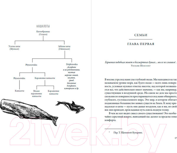 Изображение товара Книга Альпина Воспитание дикости. Как животные создают свою культуру (Сафина К.)