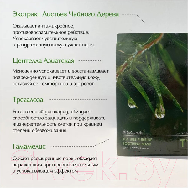 Изображение товара Набор масок для лица Dr. Ceuracle Чайное дерево (10шт)