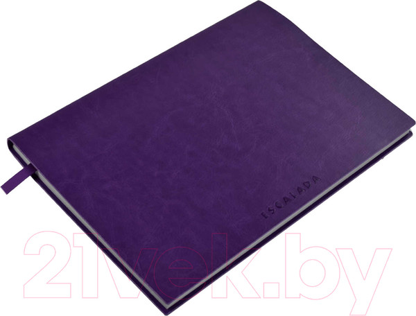 Изображение товара Ежедневник Escalada Сариф / 47407 (фиолетовый/серебристые клепки)