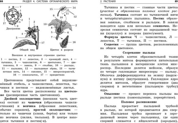 Изображение товара Учебное пособие Эксмо Биология (Мазур О.Ч., Никитинская Т.В.)