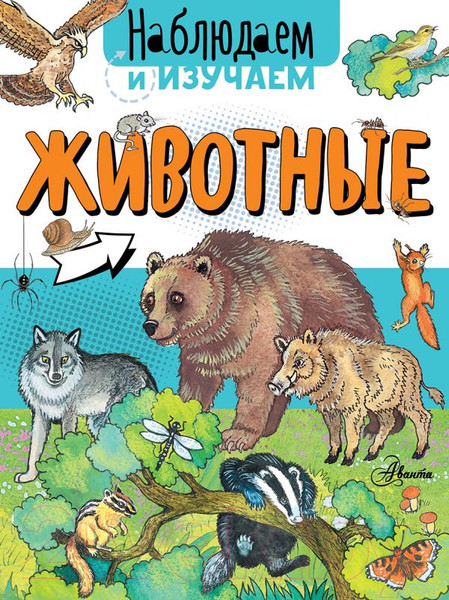Изображение товара Энциклопедия АСТ Животные. Наблюдаем и изучаем (Ткачева А.А.)