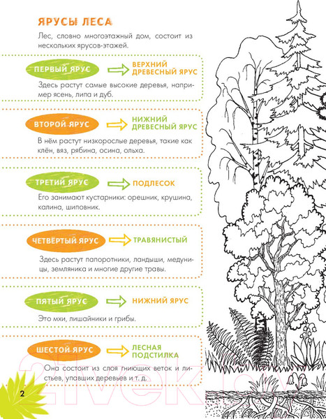 Изображение товара Энциклопедия АСТ Животные. Наблюдаем и изучаем (Ткачева А.А.)