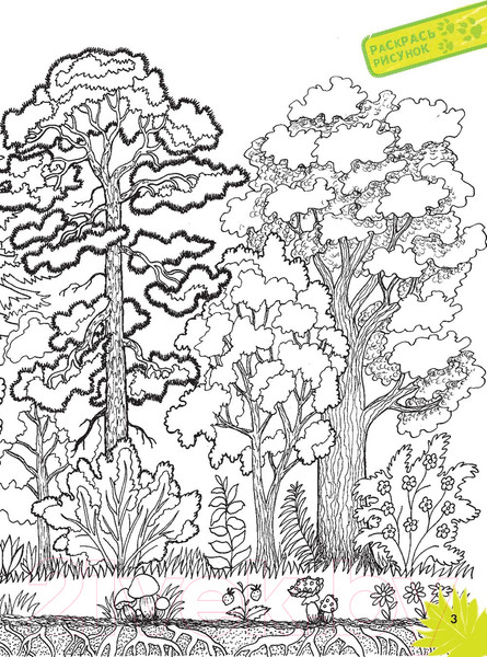 Изображение товара Энциклопедия АСТ Животные. Наблюдаем и изучаем (Ткачева А.А.)