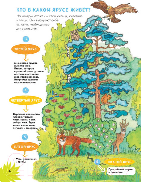 Изображение товара Энциклопедия АСТ Животные. Наблюдаем и изучаем (Ткачева А.А.)
