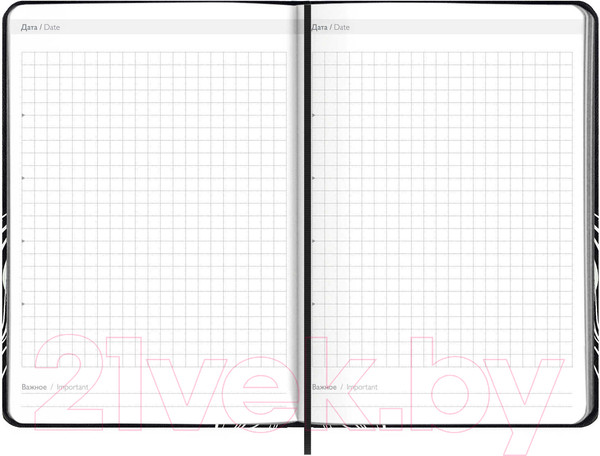 Изображение товара Ежедневник Феникс+ Пилот / 61737