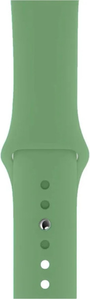 Изображение товара Ремешок для умных часов Bingo Для Apple Watch (мятный)