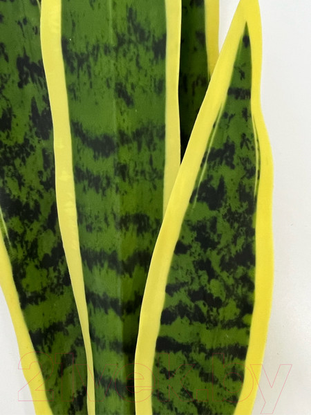 Изображение товара Искусственное растение Артфлора Cансевиерия изумрудная / 105023