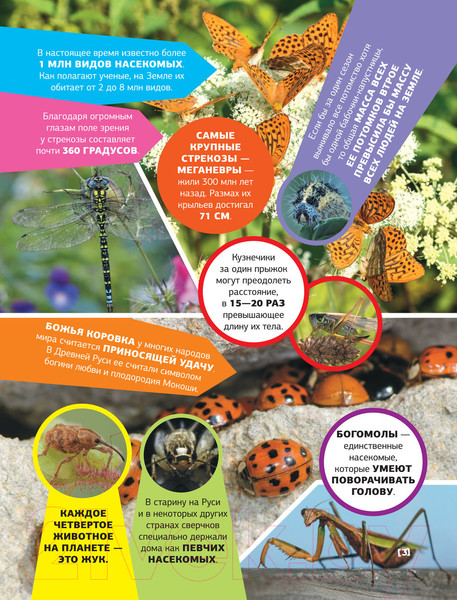 Изображение товара Энциклопедия АСТ Большая энциклопедия о насекомых. 500 фотографий и фактов