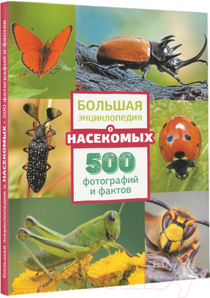 Изображение товара Энциклопедия АСТ Большая энциклопедия о насекомых. 500 фотографий и фактов